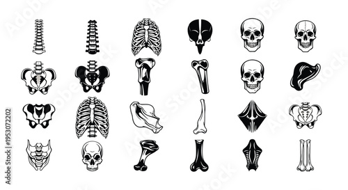 Diverse collection of skeletal and anatomical symbols in black and white illustration