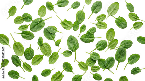 Vibrant fresh green spinach leaves scattered on a dark black background showcasing healthy organic food ingredients with natural studio lighting for a