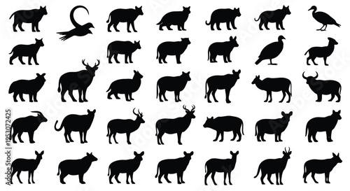 Ancient egyptian hieroglyphic depictions of various animals and creatures
