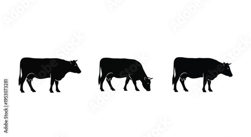 Three silhouetted cows walking in a straight line against a plain background