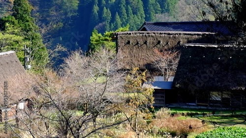 Wallpaper Mural 五箇山合掌造り集落相倉　世界遺産新緑の季節 Torontodigital.ca