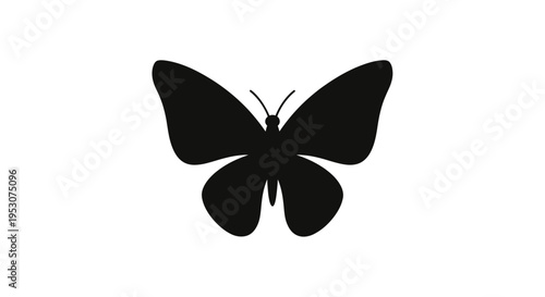 Black Butterfly Silhouette on White Background