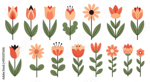 Collection of peach colored flowers.