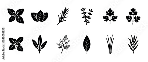 Black silhouette icons of various culinary herbs, including basil, rosemary, and parsley, presented in a clean, graphic, and minimalist vector style