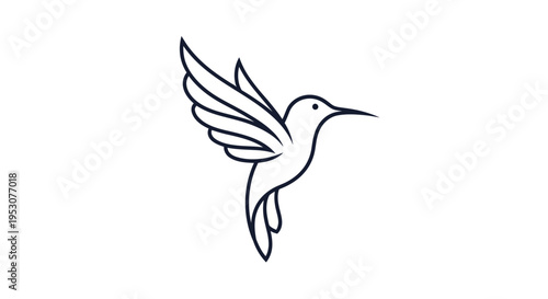 Hummingbird in Flight with Wings Spread.