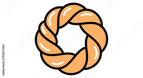 Braid Hair Style Close Up.