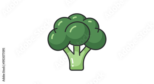 Green Broccoli Vegetable Closeup View.