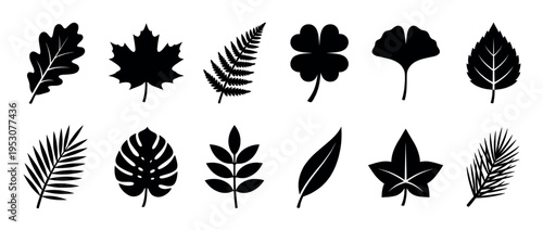 Twelve distinct black leaf silhouettes with intricate vein details showcasing a variety of botanical shapes and natural forms in a graphic icon style