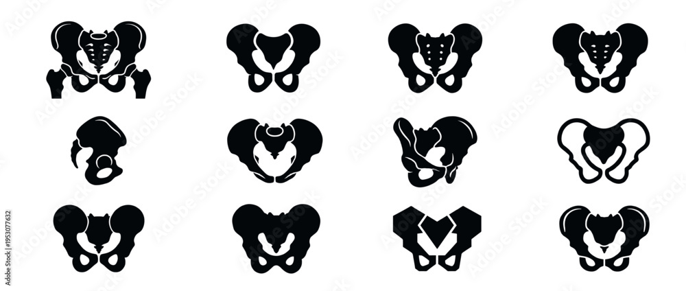 Fototapeta premium Twelve black silhouette human pelvic bone illustrations are depicted in a grid, showcasing various anatomical views and stylized representations of the skeletal structure