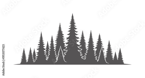 Dark gray silhouette of a dense forest of evergreen trees pine spruce