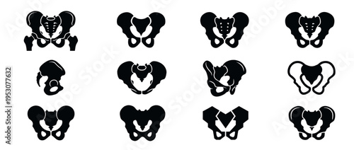 Twelve black silhouette human pelvic bone illustrations are depicted in a grid, showcasing various anatomical views and stylized representations of the skeletal structure