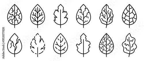 Twelve distinct black outline leaf icons with varied internal vein patterns and shapes, presented in a clean, minimalist line art style