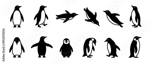 Collection of black and white penguin icons in various dynamic poses, including standing, walking, swimming, and a charming baby, depicted in a clean graphic style