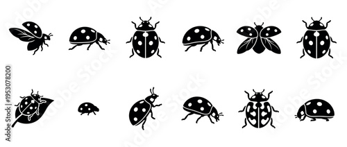 Collection of black and white ladybug icons in various poses, featuring spotted shells and delicate antennae, rendered in a clean graphic style