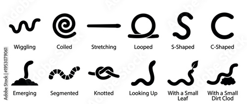 Collection of black worm icons depicting various shapes and actions like wiggling, coiling, stretching, and emerging in a simple graphic style