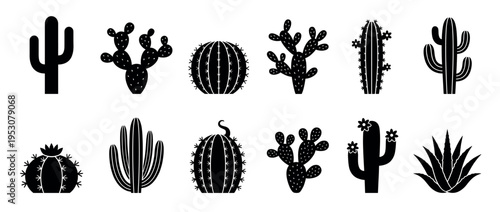 Twelve black silhouette cactus and succulent illustrations showcasing a diverse collection of desert plants in various stylized shapes and forms