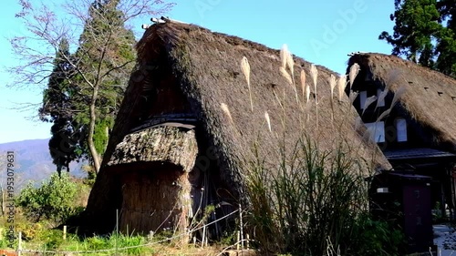 Wallpaper Mural 五箇山合掌造り集落相倉　世界遺産新緑の季節 Torontodigital.ca