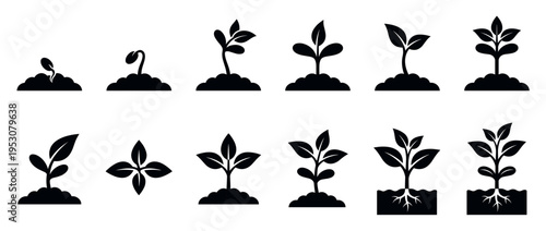Black silhouette icons depicting plant growth stages, from seed germination to a mature plant with visible roots, presented in a clear, illustrative graphic style