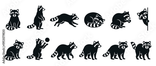 Twelve black and white raccoon illustrations showcasing various playful poses and activities, including sitting, running, eating, and peeking, rendered in a charming flat graphic style