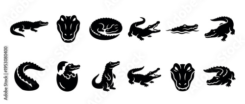 Collection of black silhouette alligator and crocodile illustrations in various poses, including a baby hatching from an egg, depicted with graphic simplicity