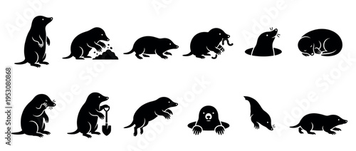 Collection of black silhouette mole illustrations depicting various poses and activities, rendered in a clean, graphic, and minimalist style