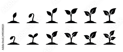 Black silhouette plant growth icons illustrating seedling development in a sequential progression, depicted with a clean, modern, and graphic style