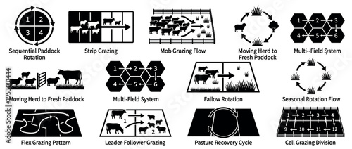 Black and white icons illustrating livestock grazing management techniques, including paddock rotation, strip grazing, mob flow, and pasture recovery cycles, presented in a clear, infographic style