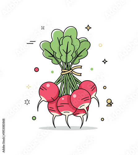 Bunch of fresh radishes tied bundle of several red radishes connected by leafy stems with a thin ribbon around them. A compact illustration expressing market