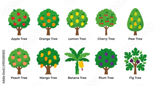 A vibrant and simple collection of ten different fruit trees, each labeled with its name, rendered in a clean, modern vector style on a white background.