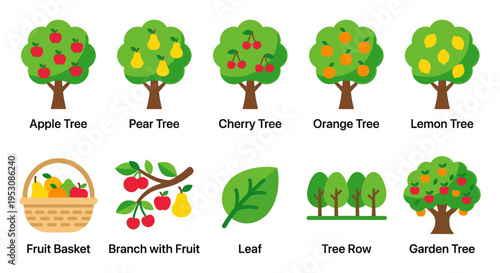 A collection of simple, colorful illustrations of various fruit trees, a fruit basket, a leaf, and a row of trees.