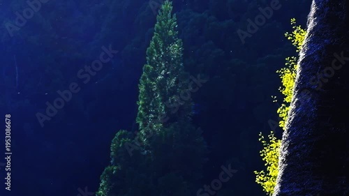 Wallpaper Mural 虫が飛ぶ五箇山合掌造り集落相倉　世界遺産新緑の季節 Torontodigital.ca