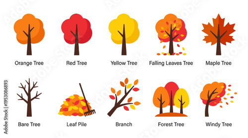 This flat illustration showcases various aspects of autumn, including trees in warm colors, falling leaves, a bare tree, and a leaf pile with a rake.