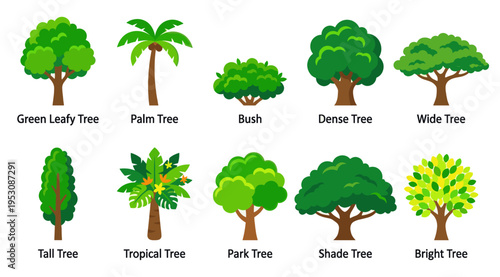 A collection of ten distinct cartoon style trees and a bush, showcasing various shapes, sizes, and foliage on a clean white background.