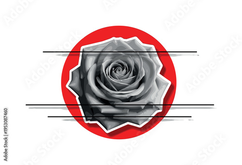 A black and white vintage-style rose in sharp detail, layered with a bold red geometric circle behind it and thin horizontal black lines crossing the