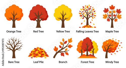 A diverse collection of stylized trees and elements in warm autumn colors, perfect for seasonal designs and educational materials.