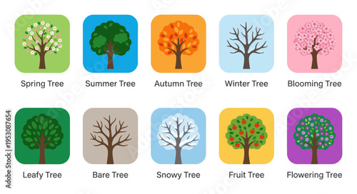 A collection of ten flat vector icons representing trees through the seasons, including spring blossoms, summer foliage, autumn leaves, winter bareness, and fruit bearing trees.