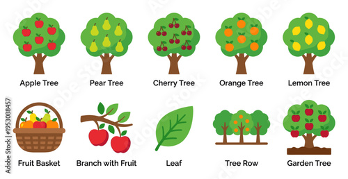 A vibrant collection of stylized vector illustrations showcases various fruit trees, a fruit basket, a branch with apples, and a single leaf, perfect for educational or agricultural themes.