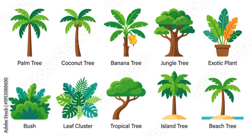 A vibrant collection of stylized illustrations featuring various tropical plants and trees, including palm, coconut, banana, jungle, and beach trees, along with bushes and leaf clusters.