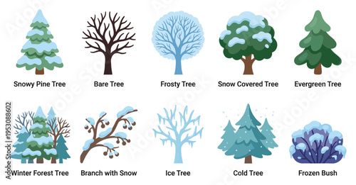A collection of flat, illustrated winter trees and a bush, showcasing various states of snow and frost on a clean white background.
