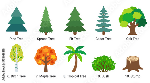 Collection of ten flat design vector illustrations featuring various tree types including pine, spruce, fir, cedar, oak, birch, maple, tropical, bush, and a stump on a white background.