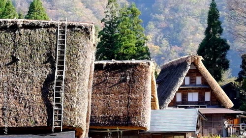 Wallpaper Mural 五箇山合掌造り集落相倉　世界遺産新緑の季節 Torontodigital.ca