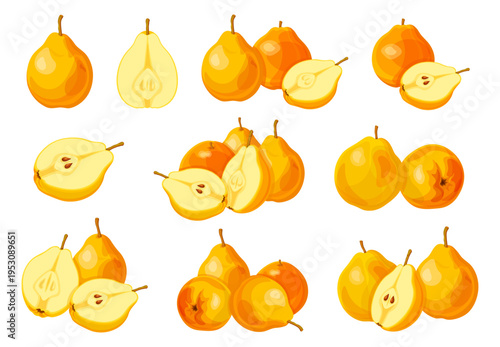 Set of delicious ripe pears in cartoon style. Vector illustration of fresh yellow, orange juicy pears: whole, cut into halves, with seeds isolated on white background. Useful fruits of trees.