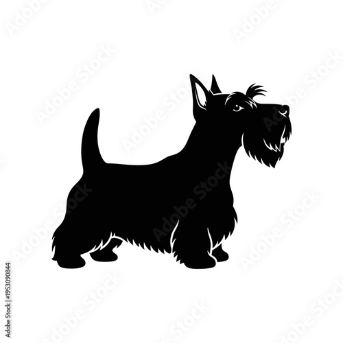 stylized black silhouette of scottish terrier dog