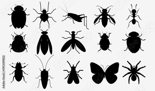 Insect silhouette set, beetles bugs icons black isolated on white background