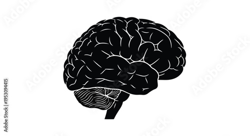Black and white illustration of human brain, side view, detailed, on white background, for medical, educational, or conceptual use