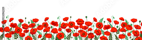 Obraz na plátně Nature Poppy field