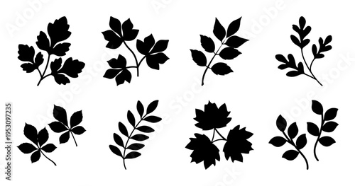 Black Silhouette Leaf Collection Isolated on White Background for Botanical Designs