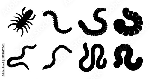 Silhouette illustration depicting various types of invertebrate animals commonly found in soil