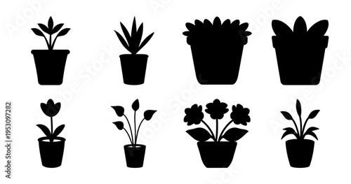Silhouette Illustration of Various Potted Plants on a White Background