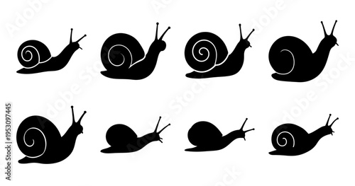 Black and white silhouettes illustration of snails with varying shell designs